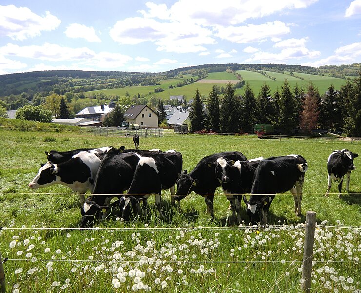 Erzgebirgslandschaft ()