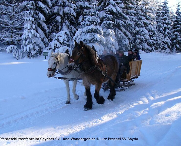 Mit dem Pferdeschlitten unterwegs im Saydaer Ski- und Wandergebiet (Lutz Peschel)