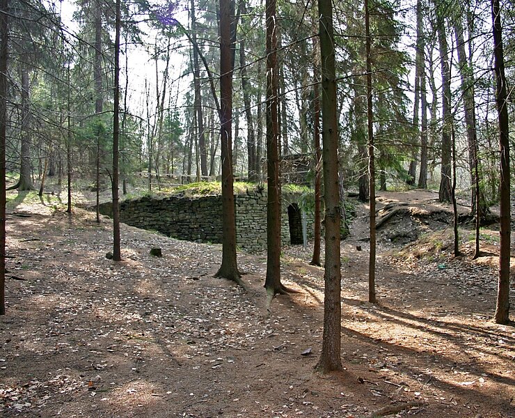 Rothschönberger Stolln - Lichtloch V / Halde mit Schachtaufsattelung (Das Team des Welterbevereins)