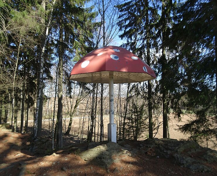 Gelenauer Fliegenpilz (Silke Möckel)