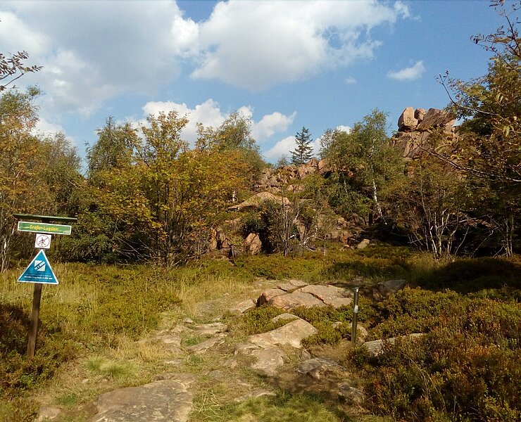 Lugsteine - 14 Achttausender im Osterzgebirge ()