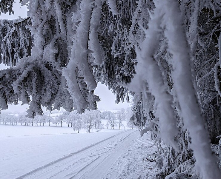 Winterlandschaft rund um Dörfel ()