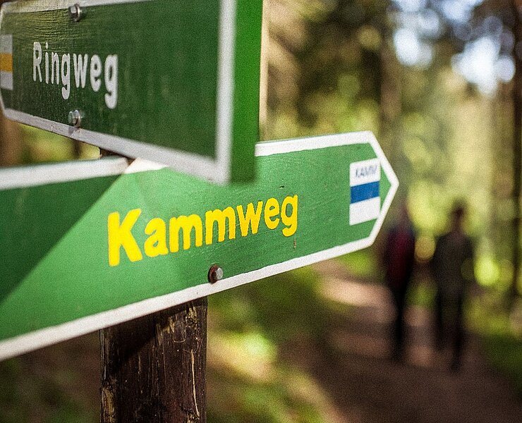 Kammweg Erzgebirge-Vogtland ()