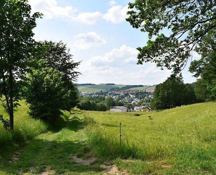 Blick auf Burkhardtsdorf (Corinna Bergelt)