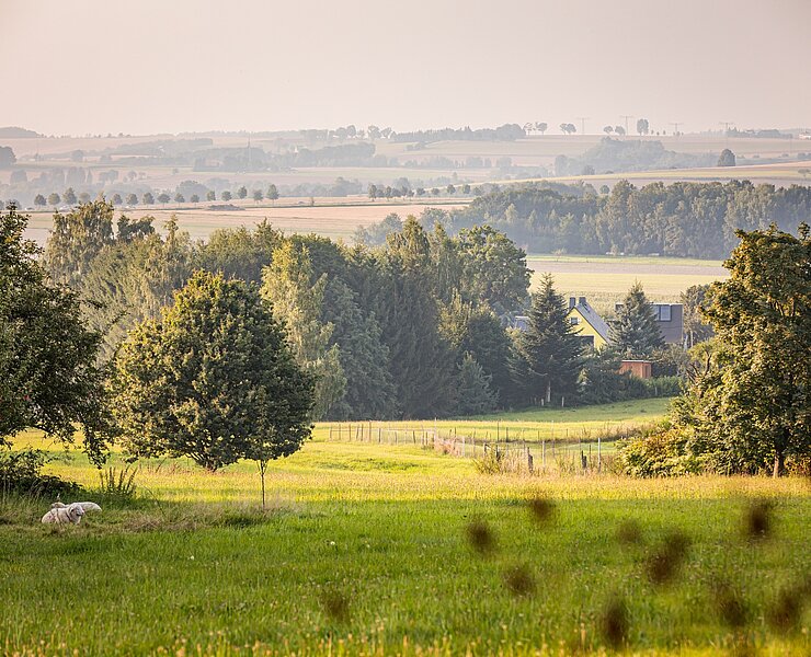 Der Grüne Pfad verbindet vielfältige Landschaftsstrukturen (Eric Fresia, Fresia Photography)
