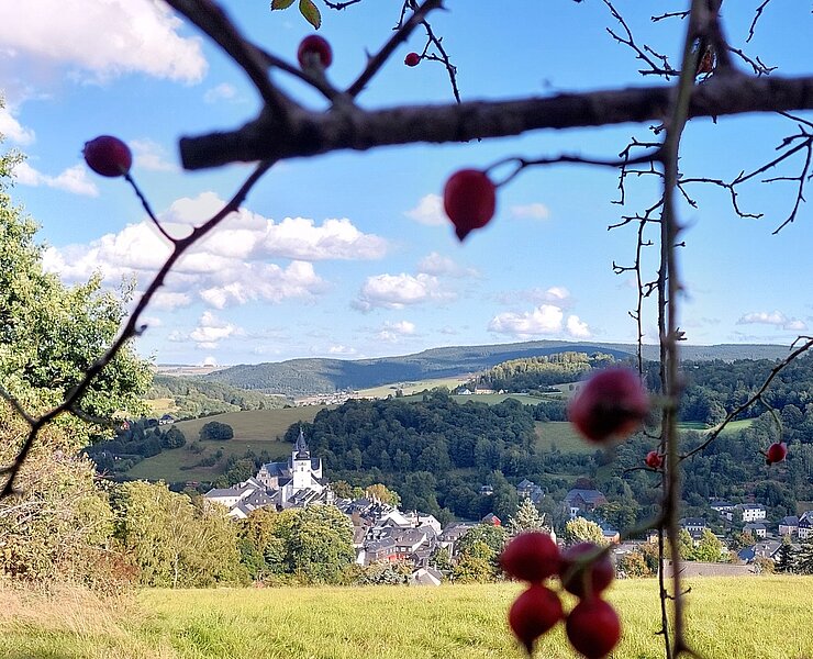 Blick auf die Altstadt von Schwarzenberg (Kathrin Metzner-Kloß)
