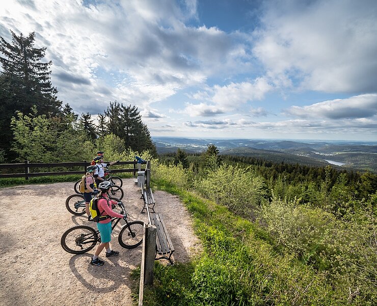 Ausblick vom Auerberg (TV Erzgebirge e.V./ Dennis Stratmann)