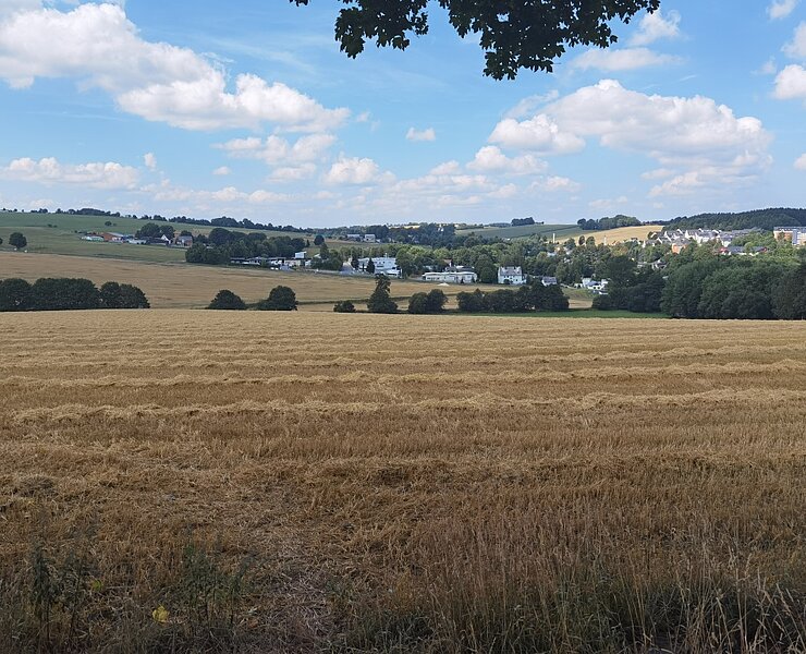 Blick nach Marienberg mit Mühlberg und dem Ortsteil Wüstenschlette (Rico Oelmann)