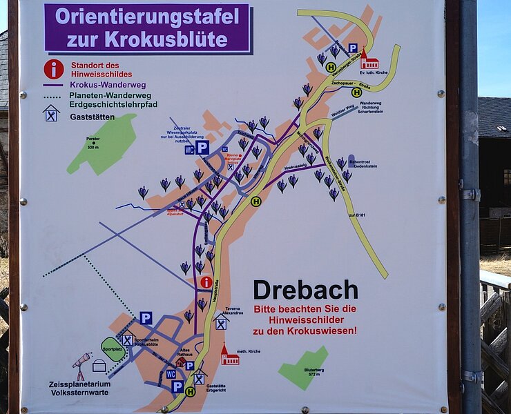 Hinweisschild Drebacher Krokuswiesen (Corinna Bergelt)