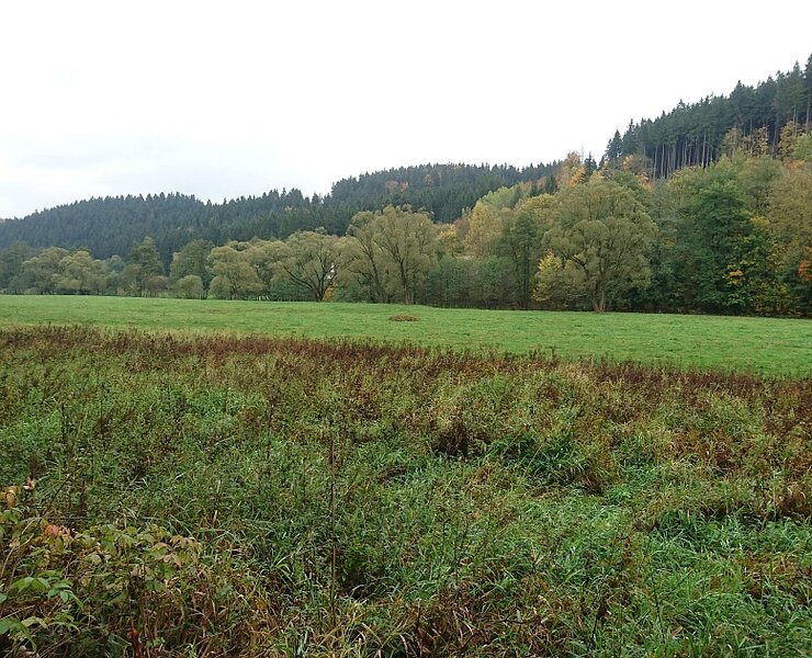 Preßnitztal (Online TVE)