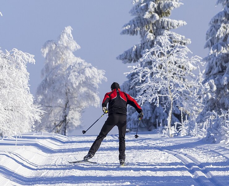 Skifahrer in der Loipe (Andreas Franke)