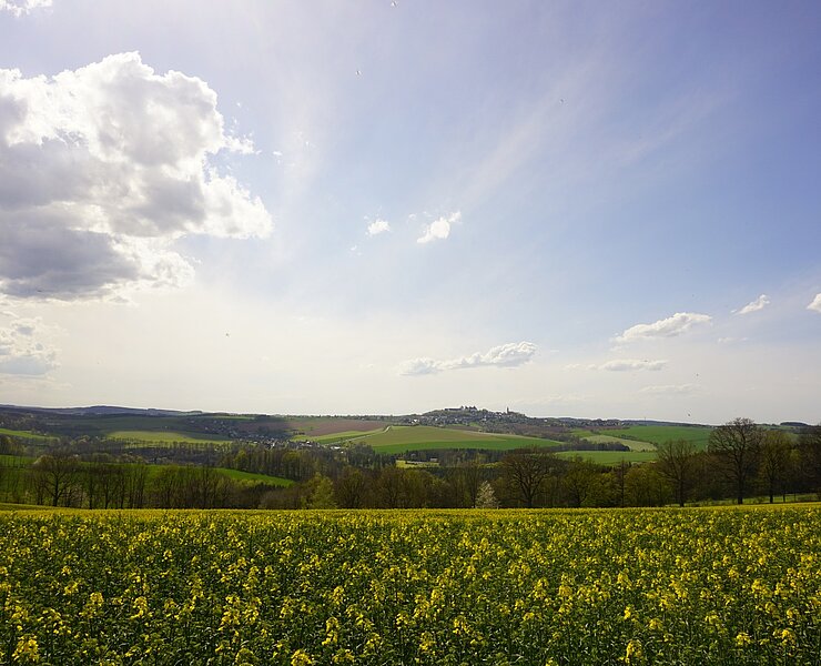 Genießen Sie das Panorama! (Robert Arnold, Gemeinde Grünhainichen)