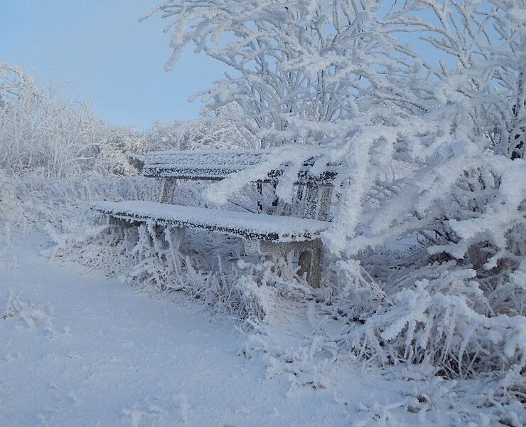 Winterimpressionen in Neuhausen/Erzge. (Undine Weise, Gemeinde Neuhausen)