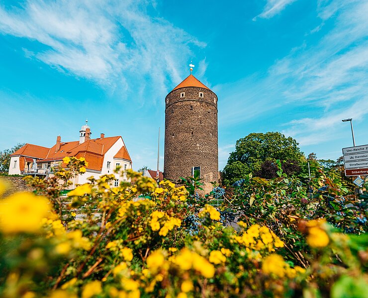 Donatsturm (Silberstadt Freiberg_Paul Schmidt/599media)
