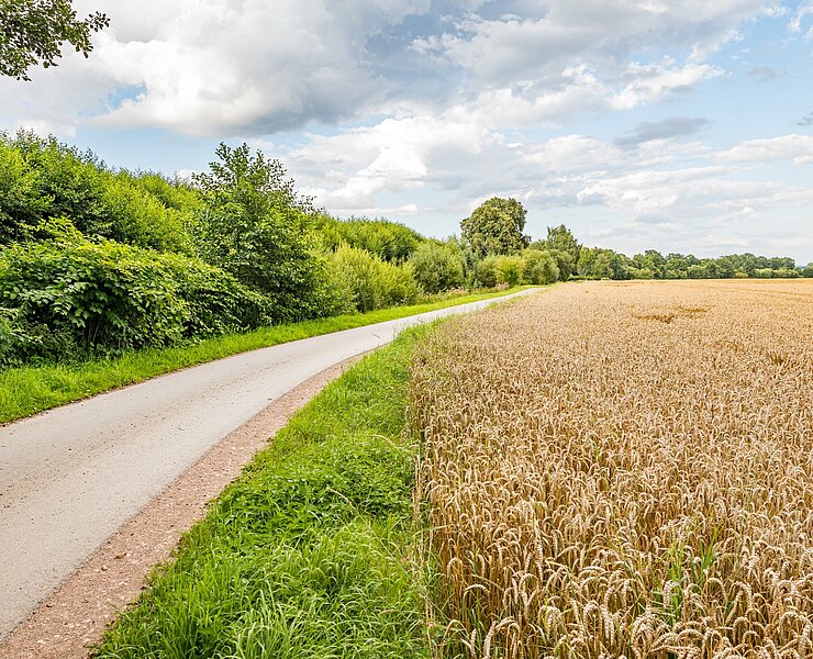 Niederdorfrunde (Stadt Stollberg)