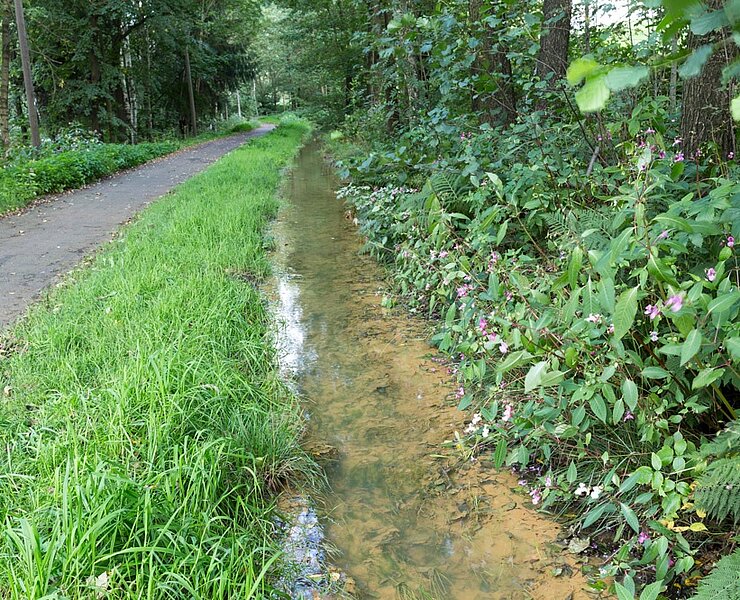 Kunstgraben Roter Graben - Roter Graben Wasserlauf (WFE GmbH Annaberg-Buchholz)