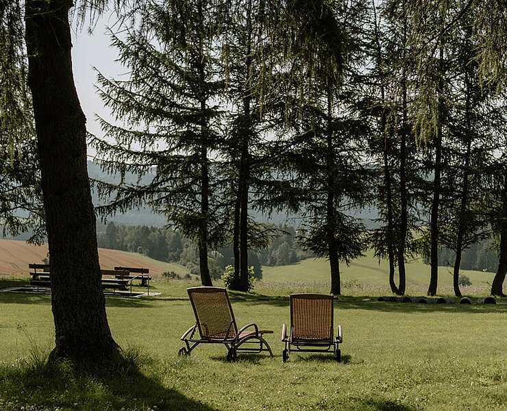 Waldhotel Kreuztanne_Kreuztannenwiese (Hilde Lenaerts)