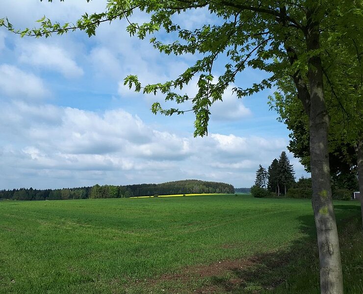 Ausblick (Koordinator Städtebund Silberberg)
