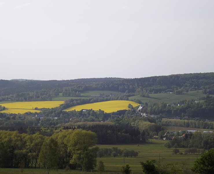 Blick von Brandau nach Olbernhau (Udo Brückner)