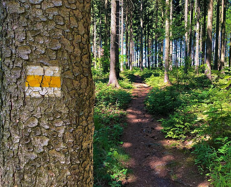 Wanderweg in Waltherdorf zum Scheibenberg (Andreas Göbel)