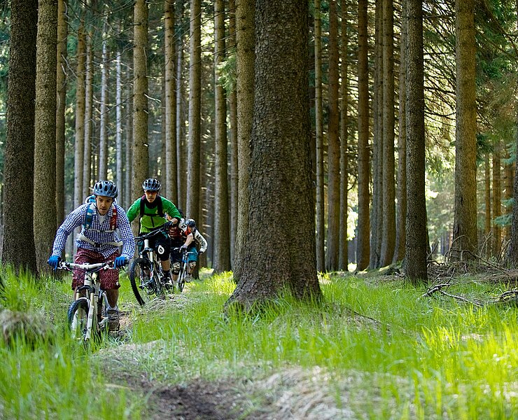 Biken im Westerzgebirge, Trailcenter Rabenberg (Rainer Wesely)