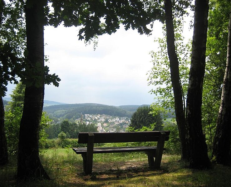 Ausblick vom Gornsdorfer Rundwanderweg (Corinna Bergelt)