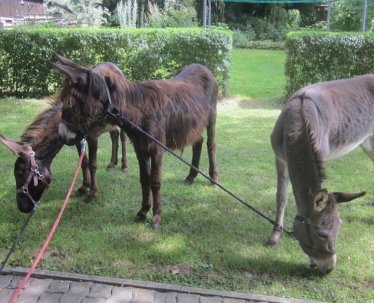Christlicher Erlebnisgarten ()