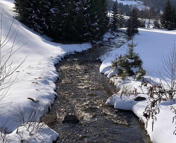 Winter ()