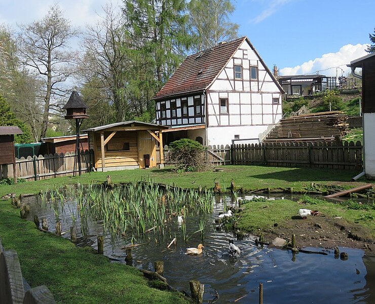 Tiergehege Glauchau - Ententeich (Stadt Glauchau)