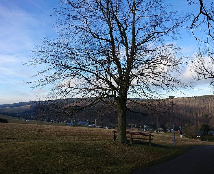 Impressionen am Wegesrand (Ingrid Meyer)