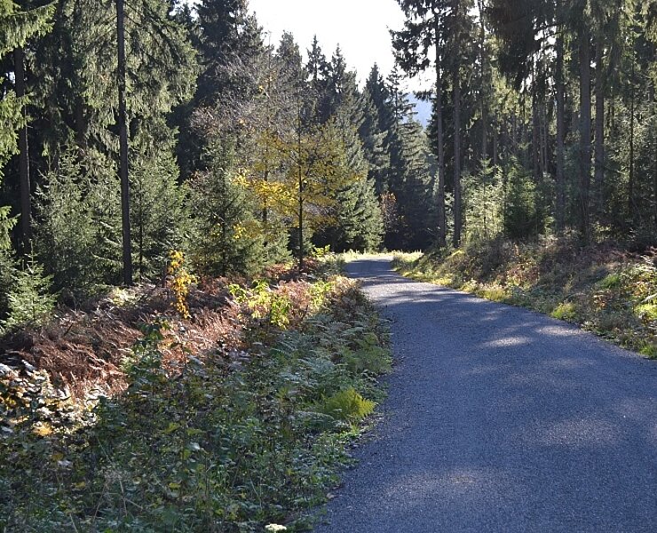 durch die Natur (Thomas Müller)