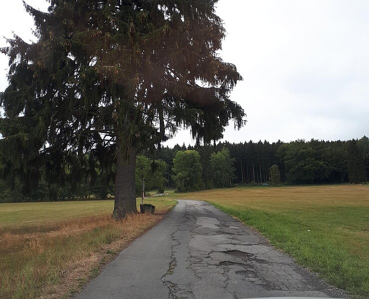 Antonstaler Straße (Koordinator Städtebund Silberberg)