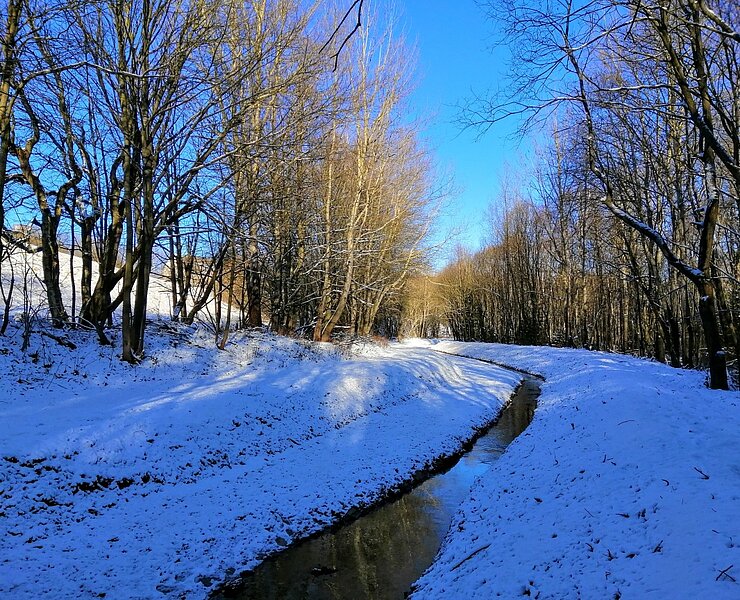 Winterwanderung entlang des Aschergraben - Schwarzwasser ()