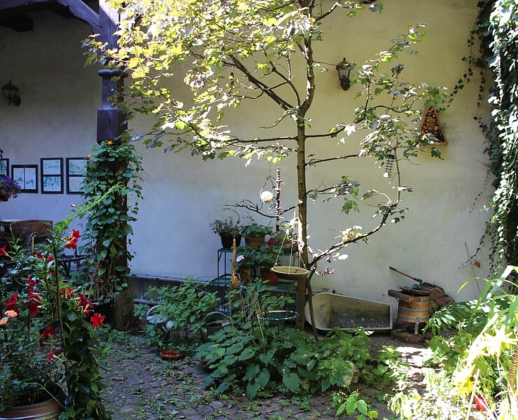 Innenhof (Ingo Seifert, Stadt Schneeberg)
