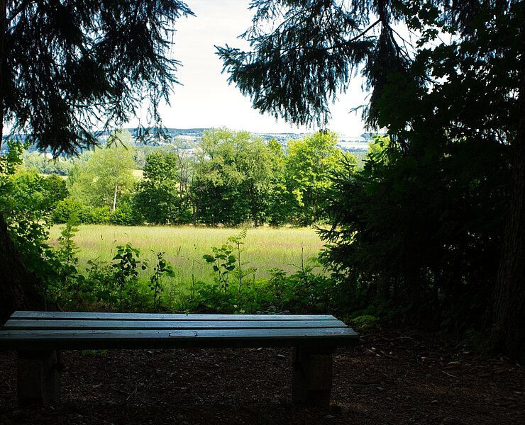 Bank am Waldrand mit Blick ()