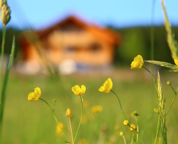 Haus2 ()