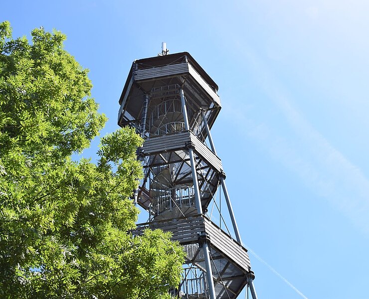 Aussichtsturm in Gelenau am Kegelsberg (Corinna Bergelt)