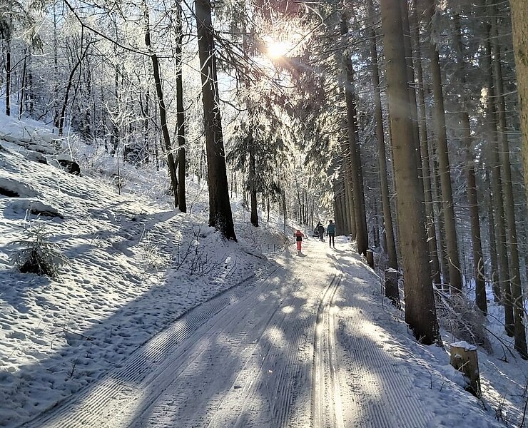 Rundloipe um den Bärenstein im Waldbereich (Gemeinde Sehmatal)