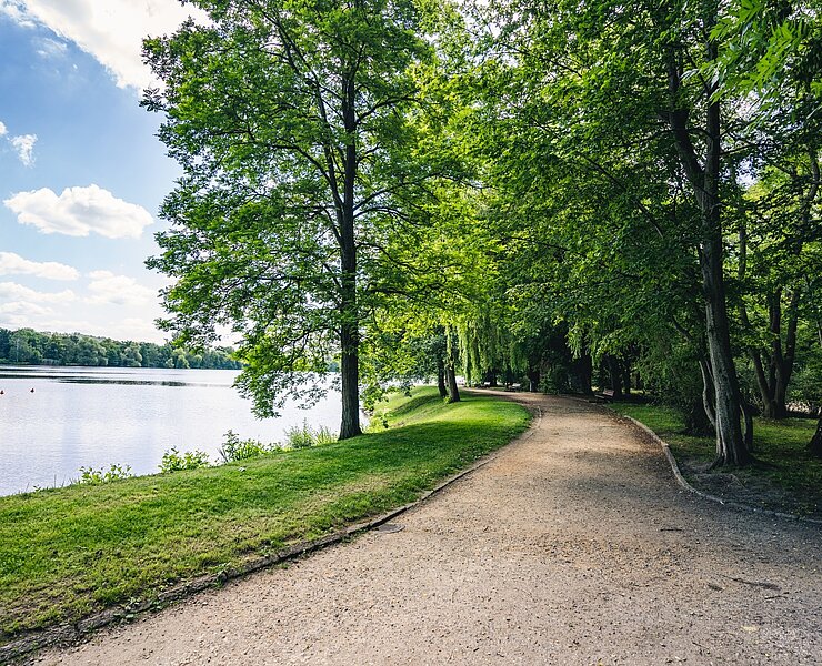 Park am Schwanenteich Zwickau ()