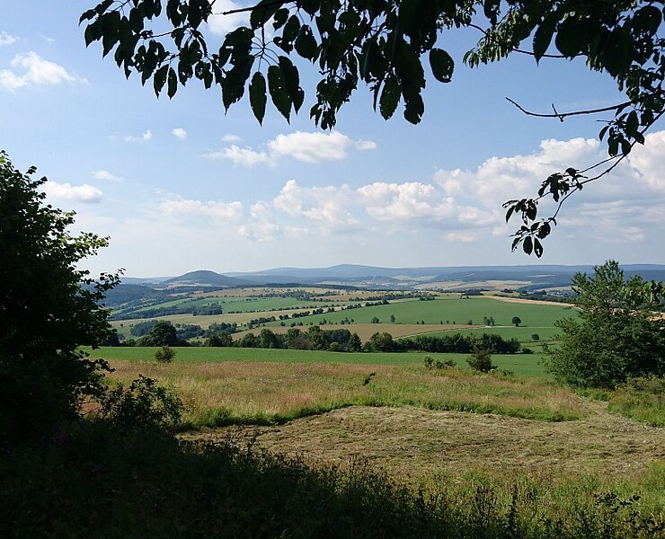 vom Pöhlberg (Online TVE)