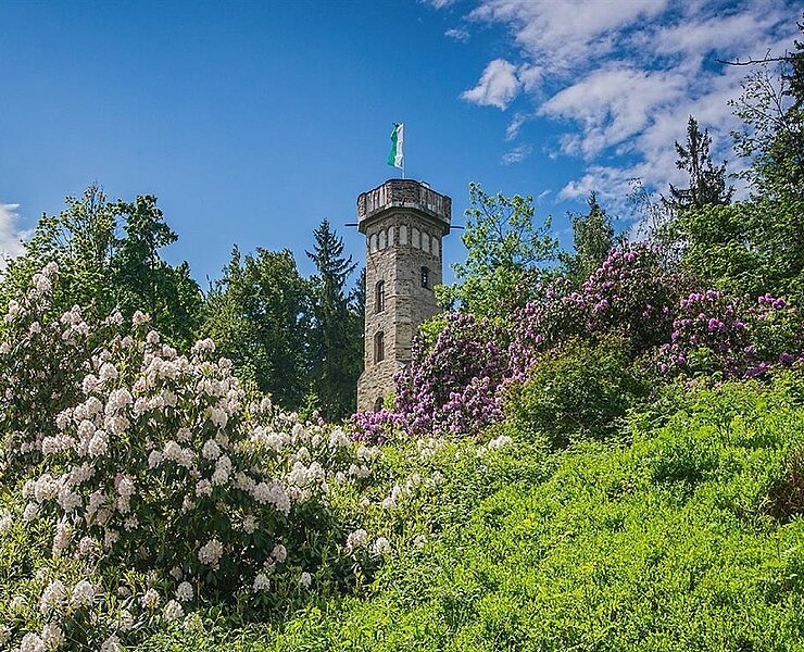Blick zum Bismarckturm ()