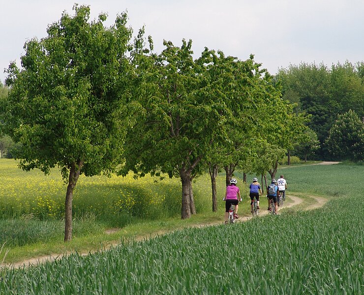 Bilz-Route in Oberhohenkirchen (Nadin Poster)