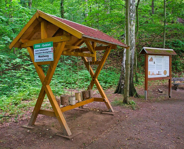 Walderlebnispfad Wechselburg - Station 10 (Bastian Rakow)