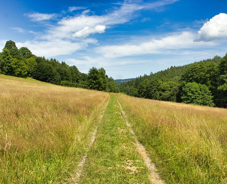 unterwegs im Griesetal ()