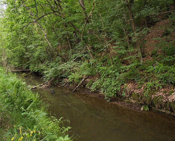 Erzkanal - Erzkanal mit Kanalröschen (WFE GmbH Annaberg-Buchholz)
