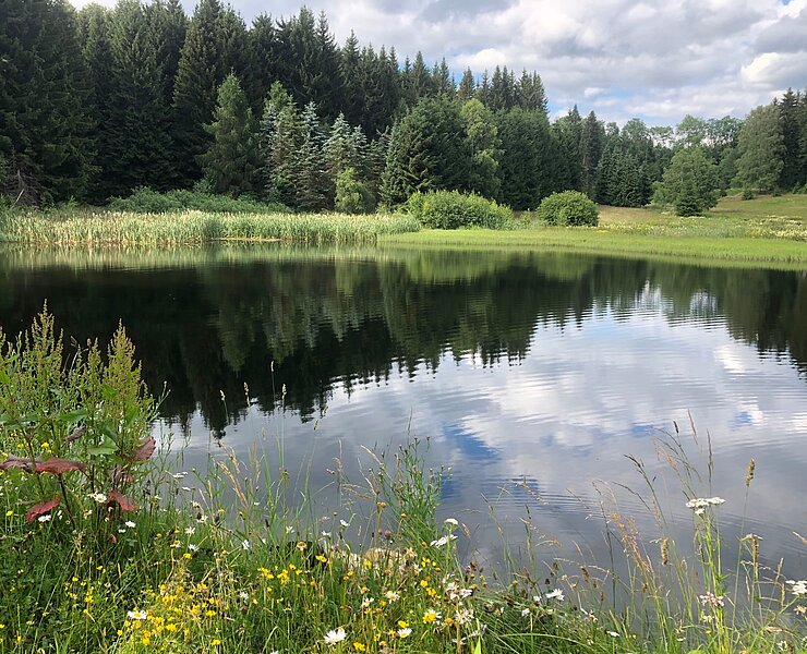 Schwemmteiche (Tourist Info)