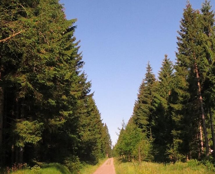 Wandern an die Talsperre ()