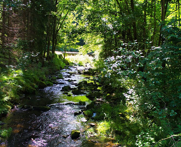 am Schwarzwasser ()
