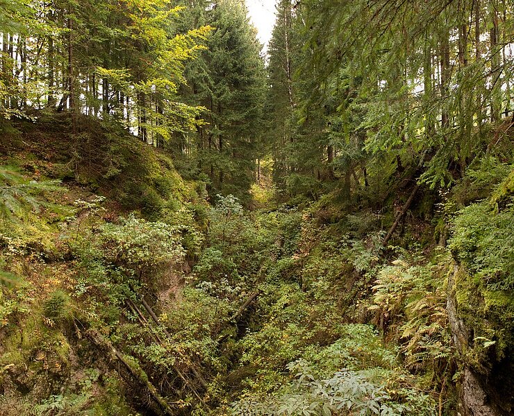 Bergbaulandschaft Eibenstock Schwarze Pinge (Jens Kugler)