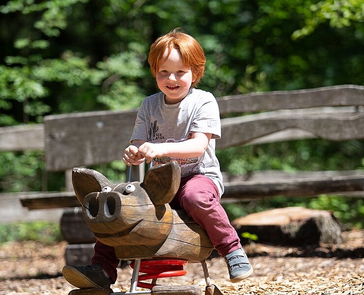 Waldspielplatz Rochlitzer Berg (Bianka Behrami)